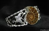 Ammonite Bracelet #643-1